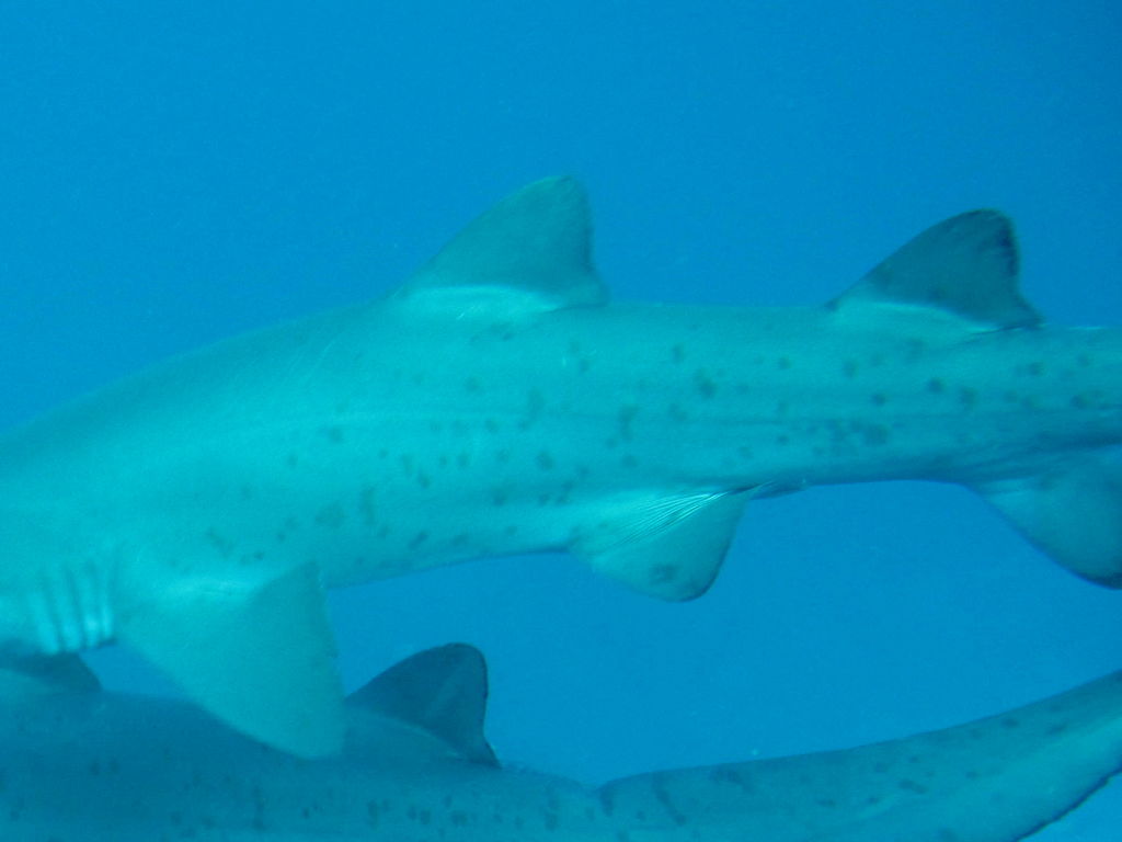 2858a9cb-9a68-4362-a47a-1dbe51ff1fb8