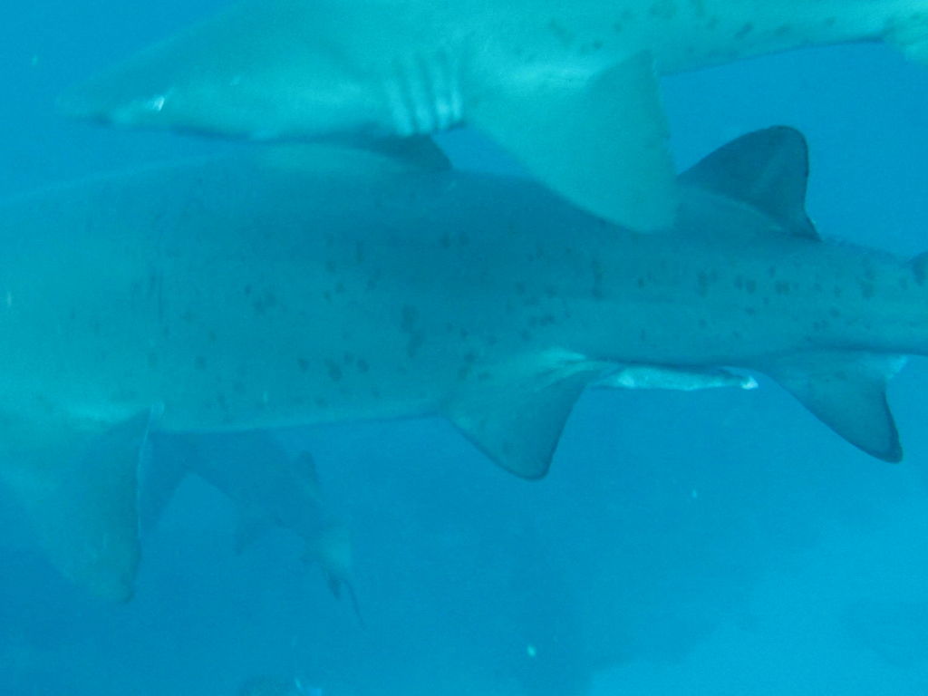 f166419e-3c8b-4d87-a503-5f2085f6c79a