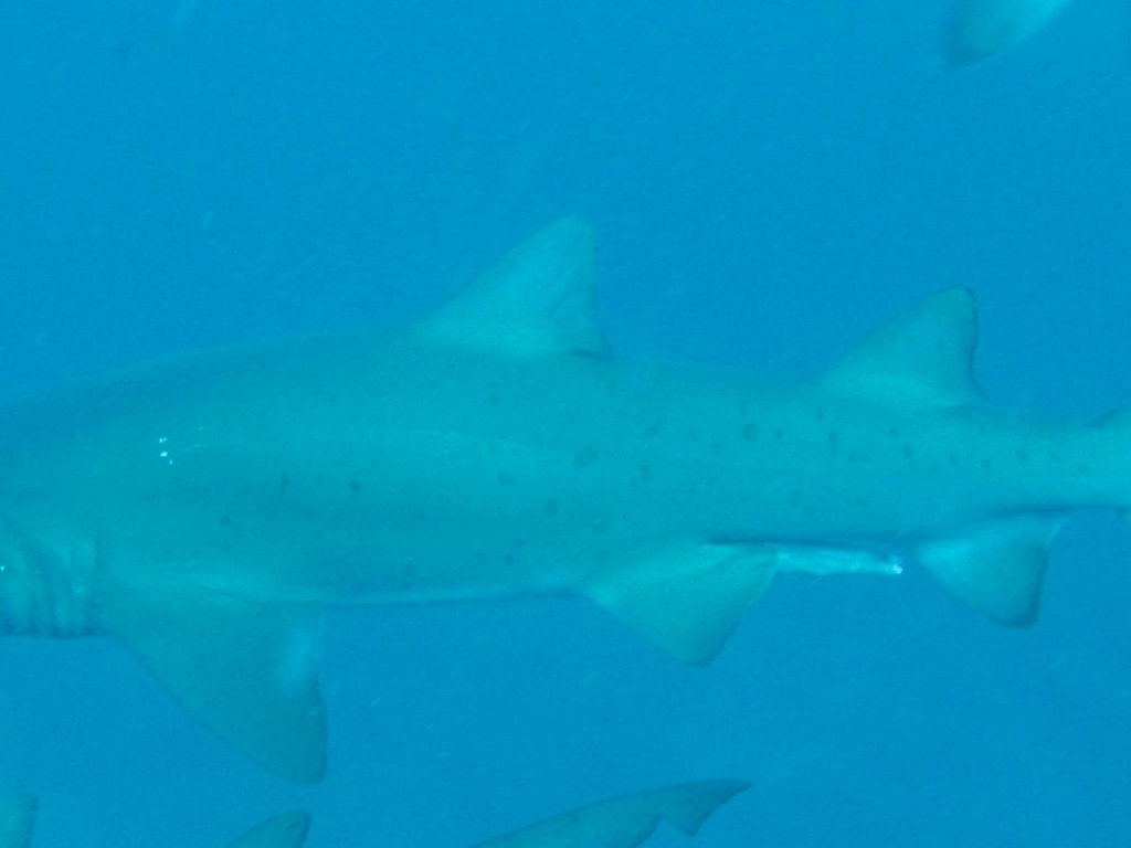 7a6de48b-c4e4-4d4a-9285-461c1be9196a