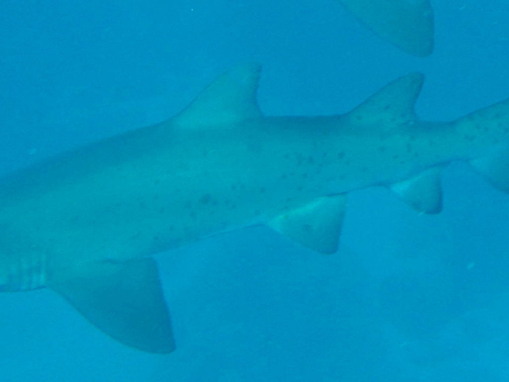 7fec1e02-9cbc-4a22-b2ad-ee7a8310378a