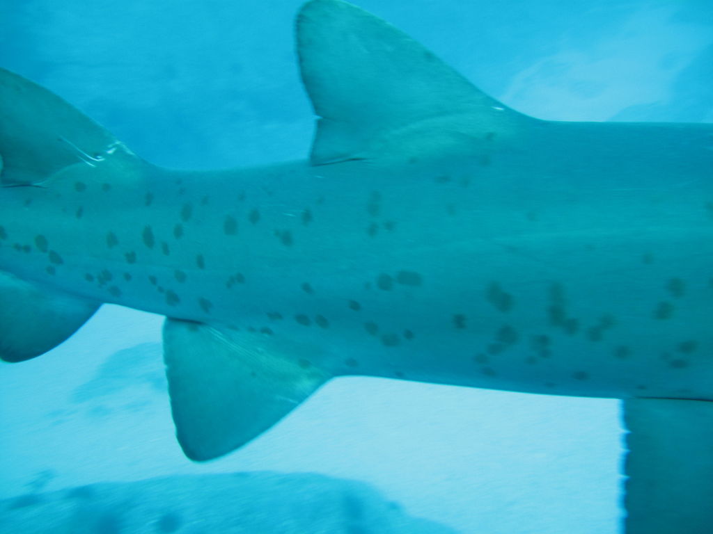 e4f5ce6d-6054-4fff-9b18-3559fa2af21d