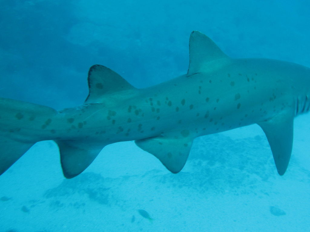 b2f2bbe8-6cbc-41e9-b77f-580961c73a43