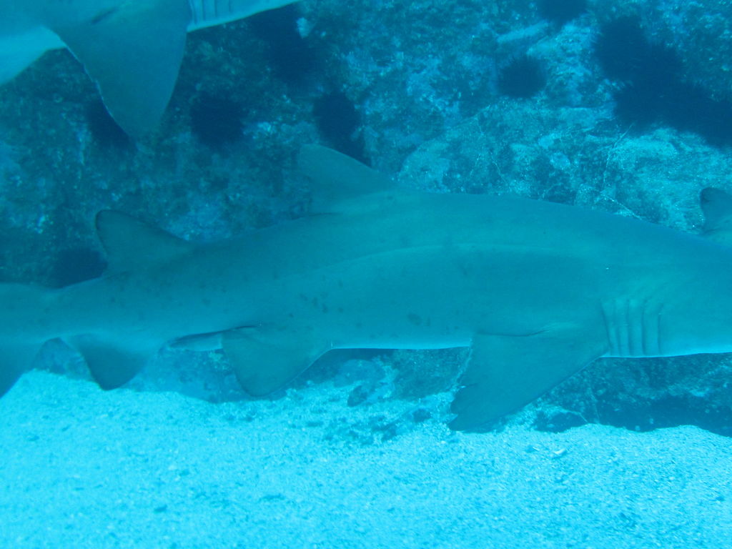 ce0857d2-15bc-4a35-b3d5-f97356aa4d88