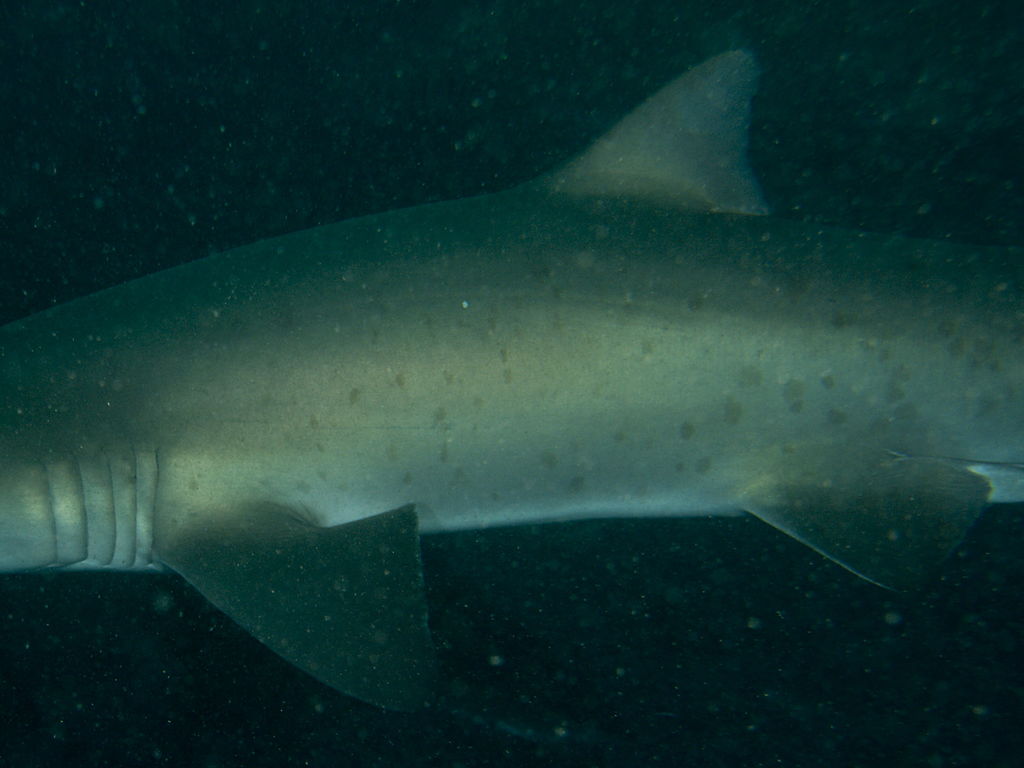 048cd38d-2356-4c73-afce-19a950802842