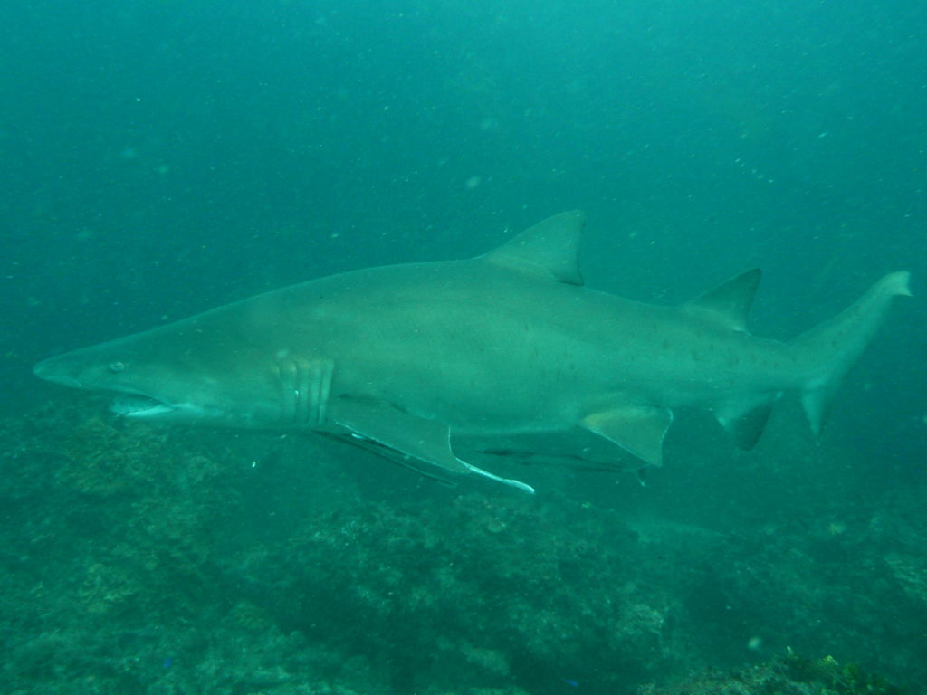 33ee9a6a-2b9c-4cc8-a39d-33f2c9bf81dd