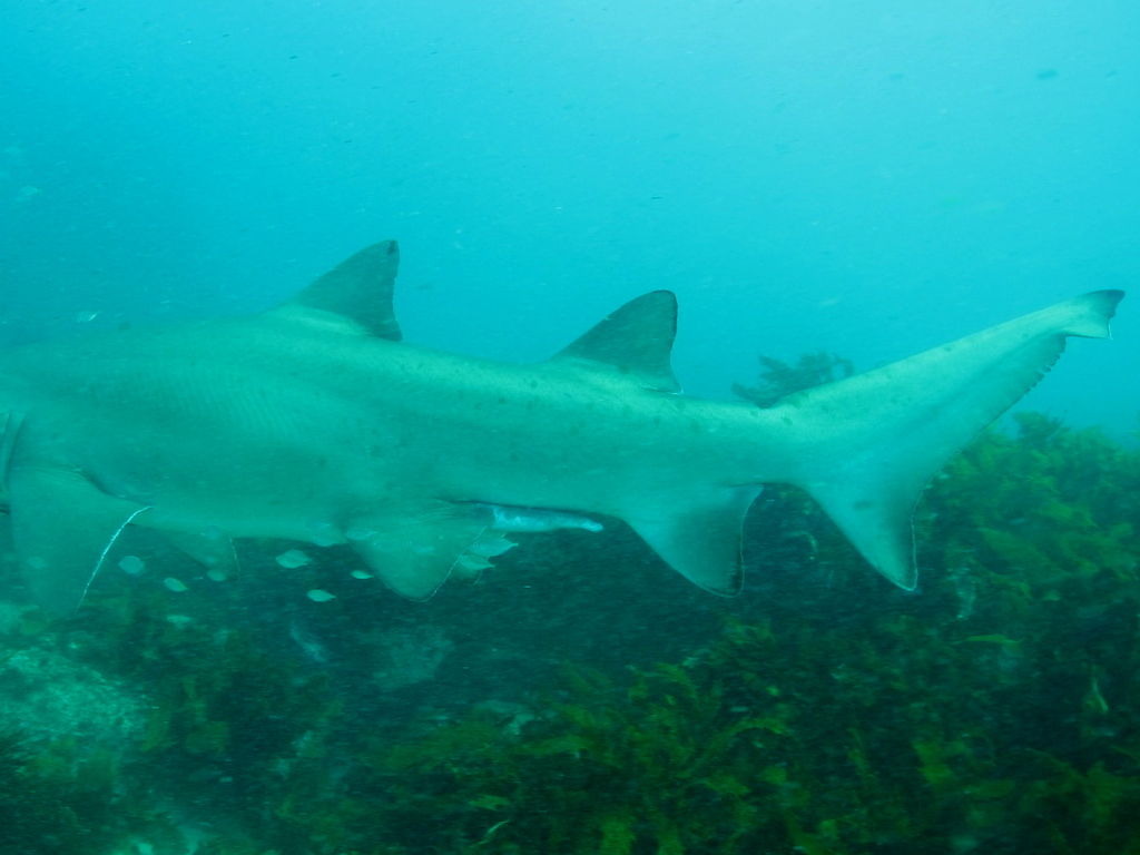 18b85bbf-be81-4706-8ef2-dae993b2042c