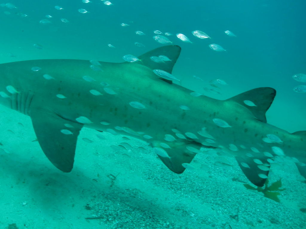 0bbd5f28-286f-4bda-86fc-0f056187354e