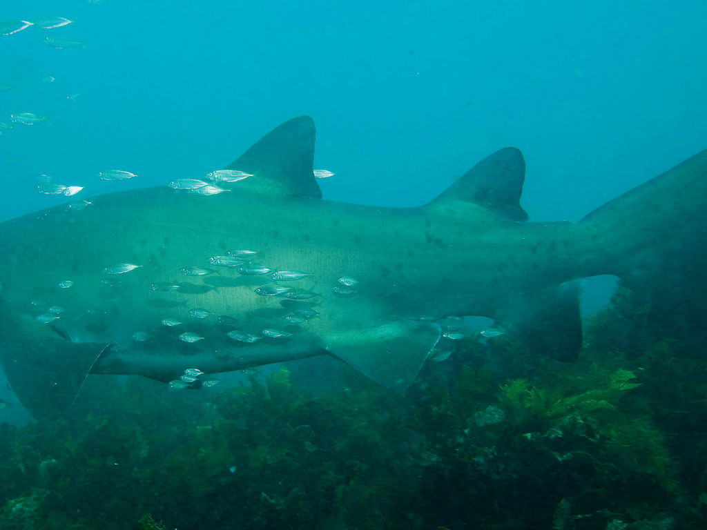 10421479-e3b9-4ec1-b4a8-c118912530ed