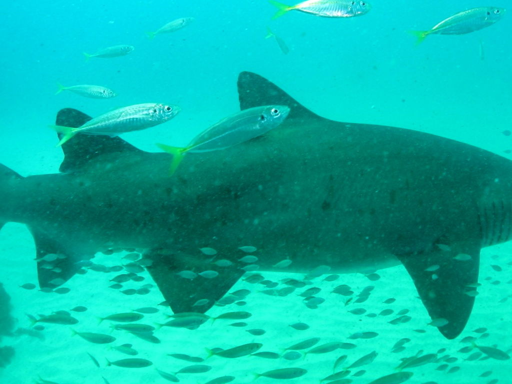 17891e71-817e-406d-91b4-32db1493107d