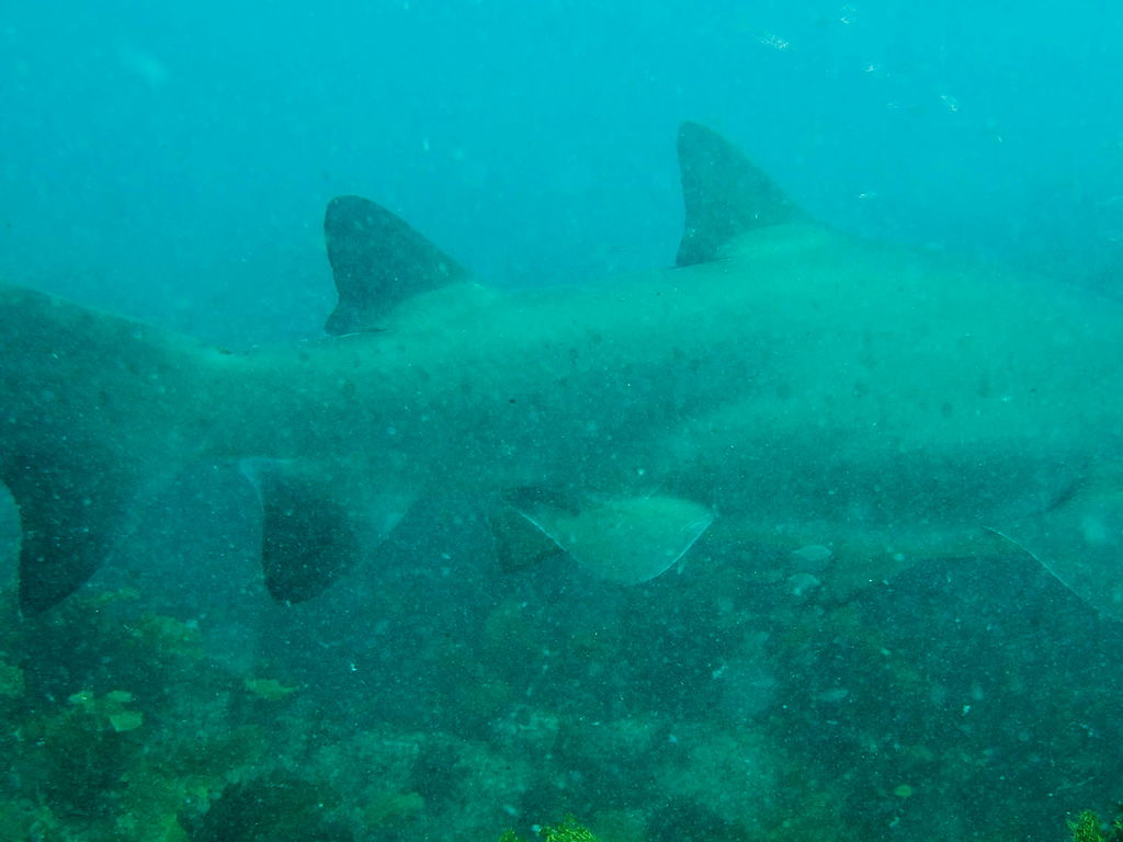 17891e71-817e-406d-91b4-32db1493107d