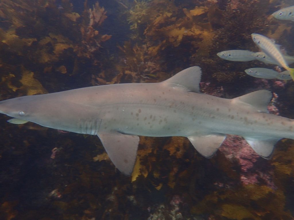 1a47c659-6070-4329-b906-5ee820d483ef