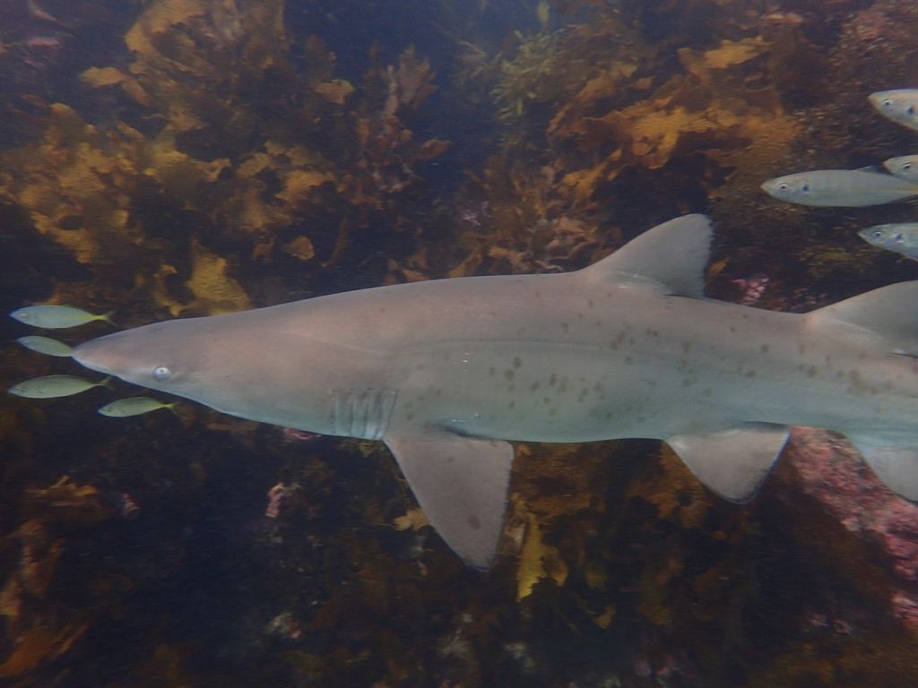 1a47c659-6070-4329-b906-5ee820d483ef