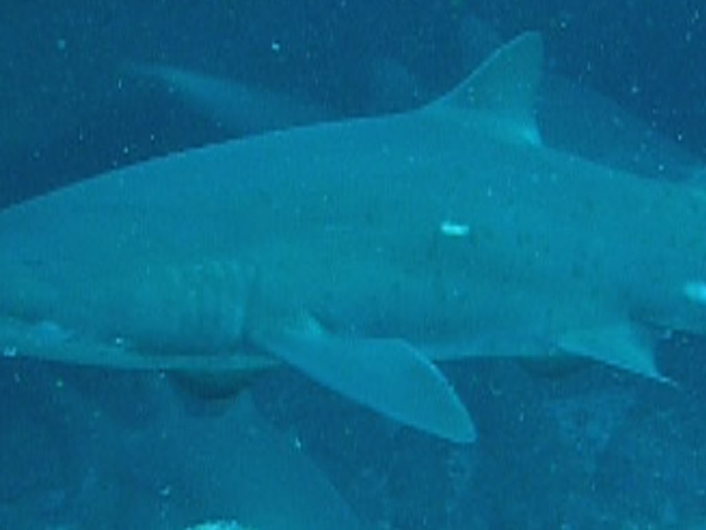 0c2bf468-fe8c-4602-b190-577836362908