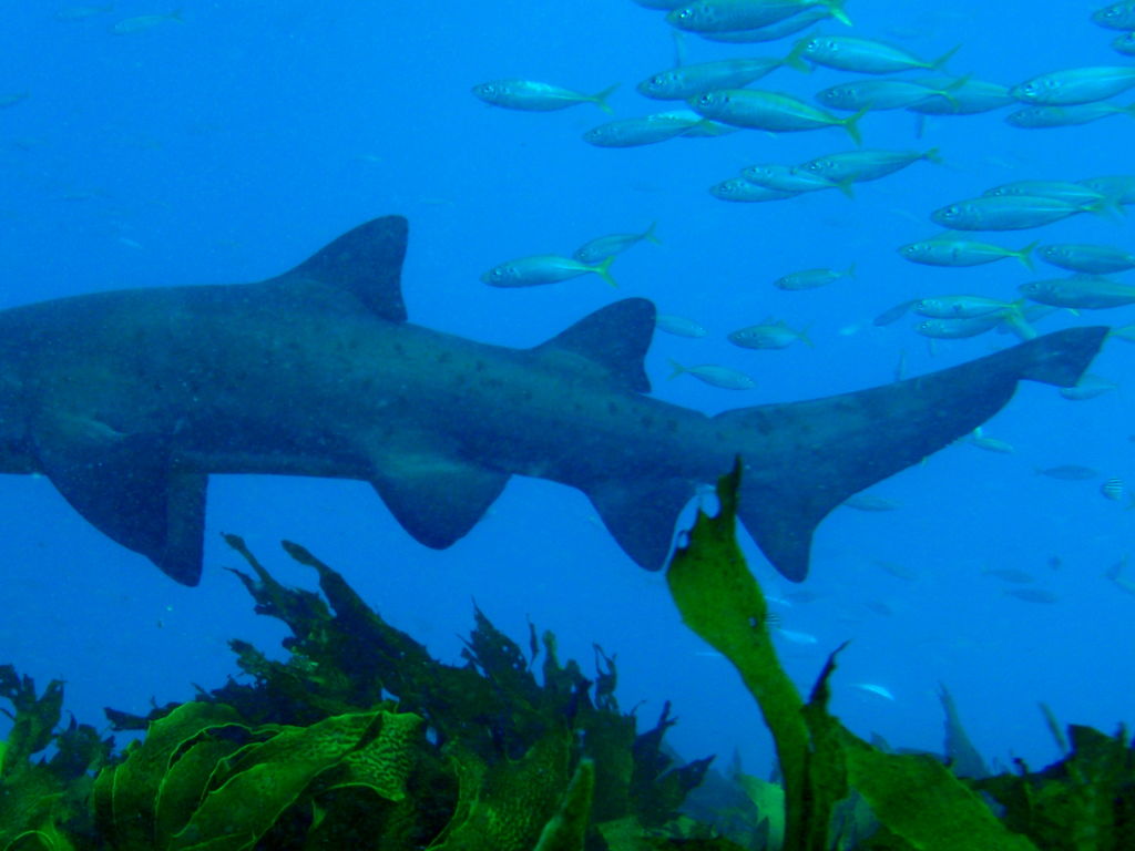 f0a17a46-e1eb-4821-b3b5-0bd4cd912f81