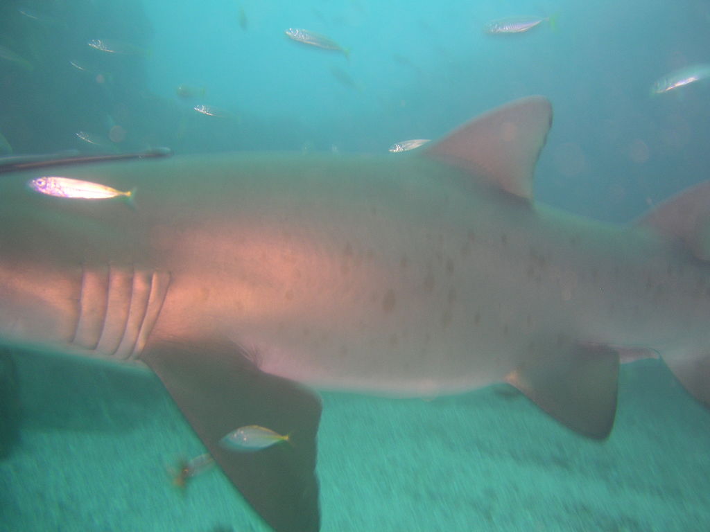 ac8f330a-3f99-43c9-894a-d4d0f672de4f