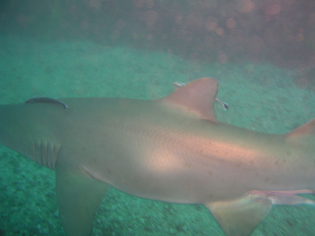 aebb75ea-7caa-4a84-b303-c44f96857f62