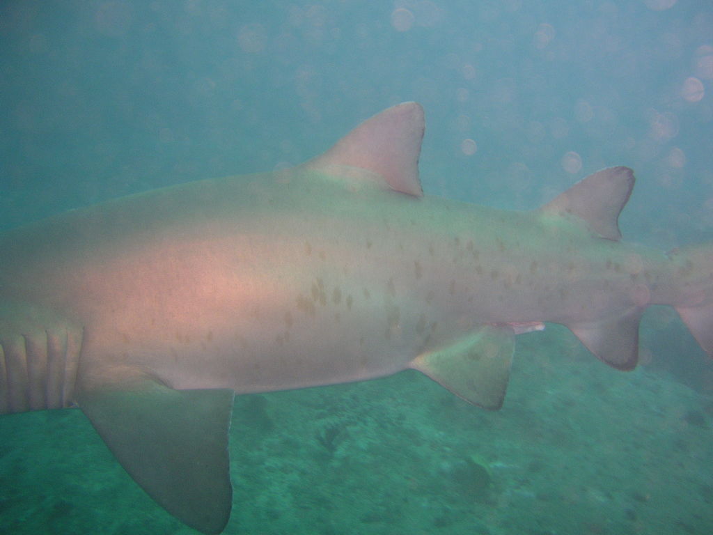 ec1a3f86-e15c-4e75-9806-feffa813edff