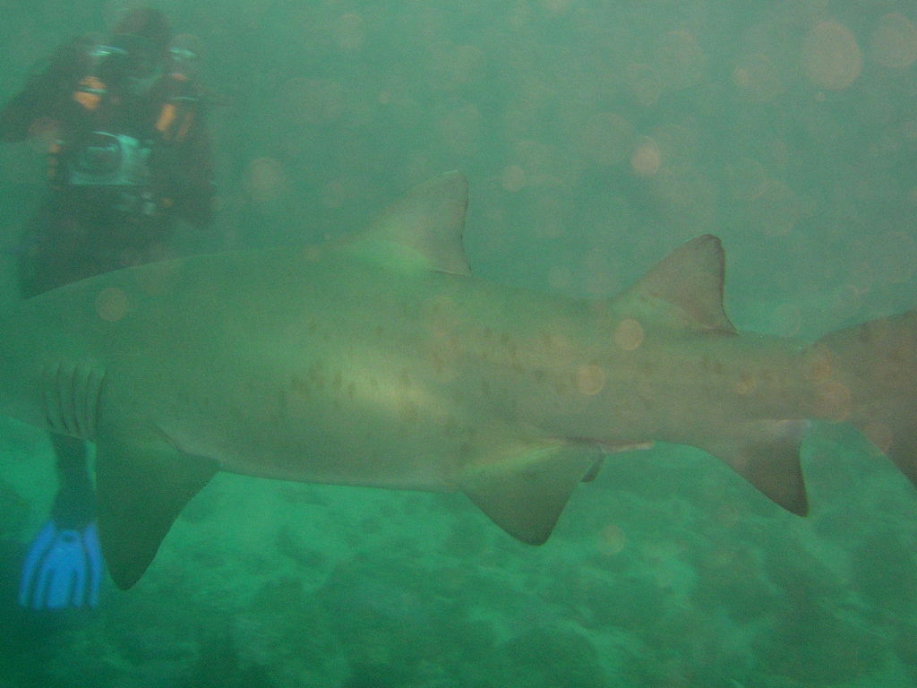 ec1a3f86-e15c-4e75-9806-feffa813edff