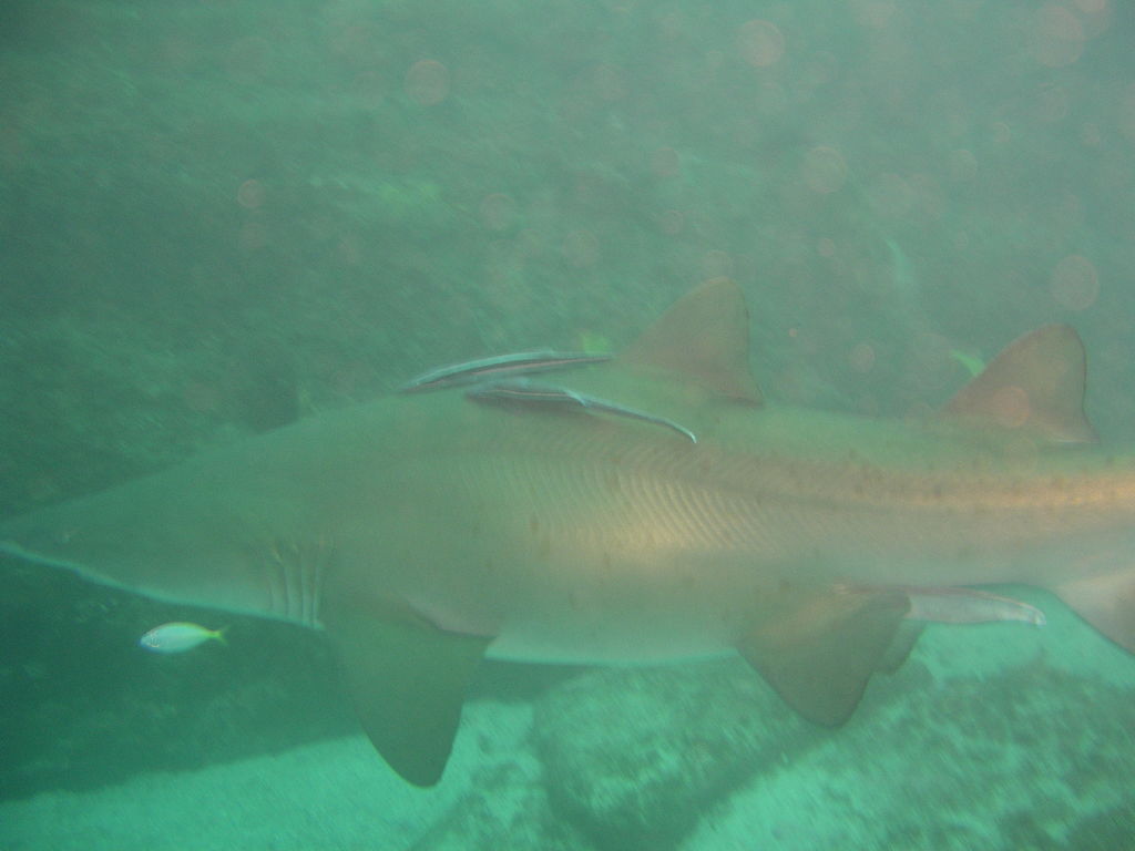 aed0843e-3870-4a28-9c56-6f5628f29707