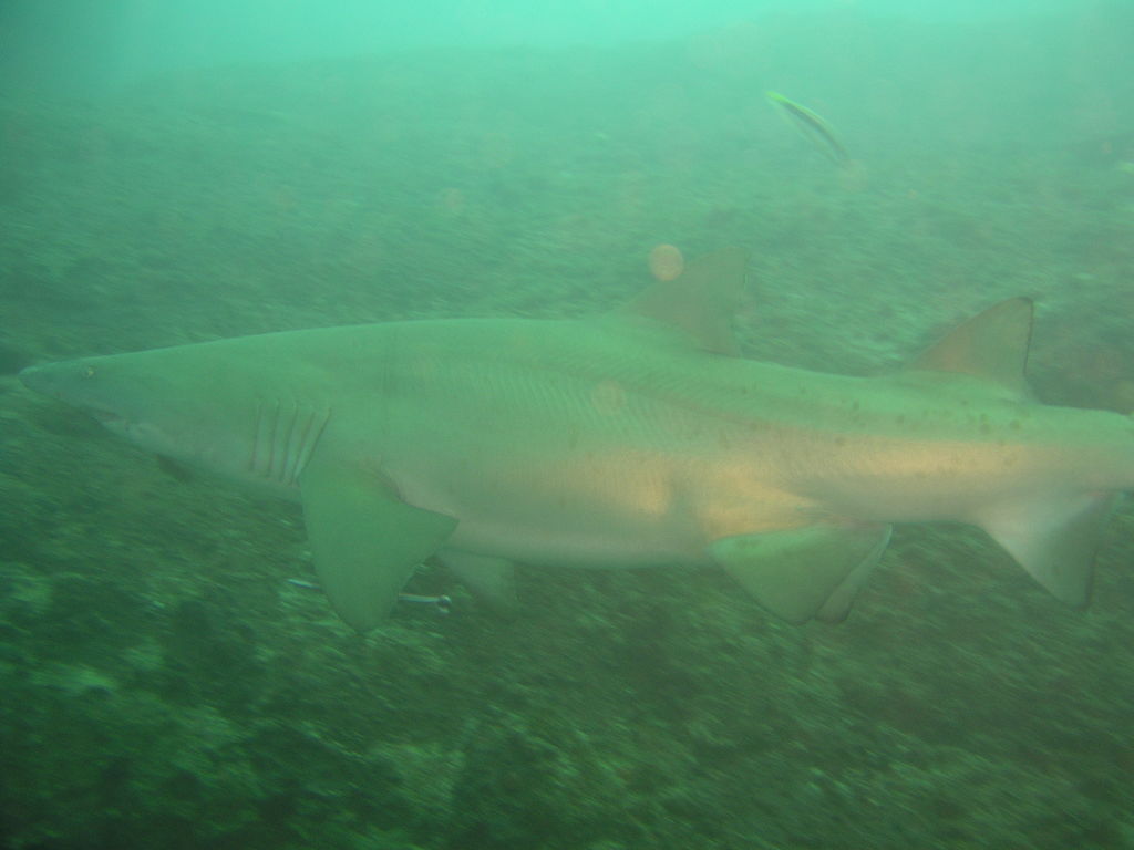 9acc53d1-c1bf-4733-9e3b-e5028df9ea8d