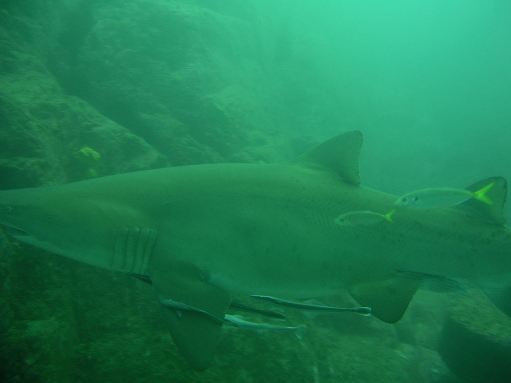 8fed8bbb-85f9-4e76-a84c-f83561036429