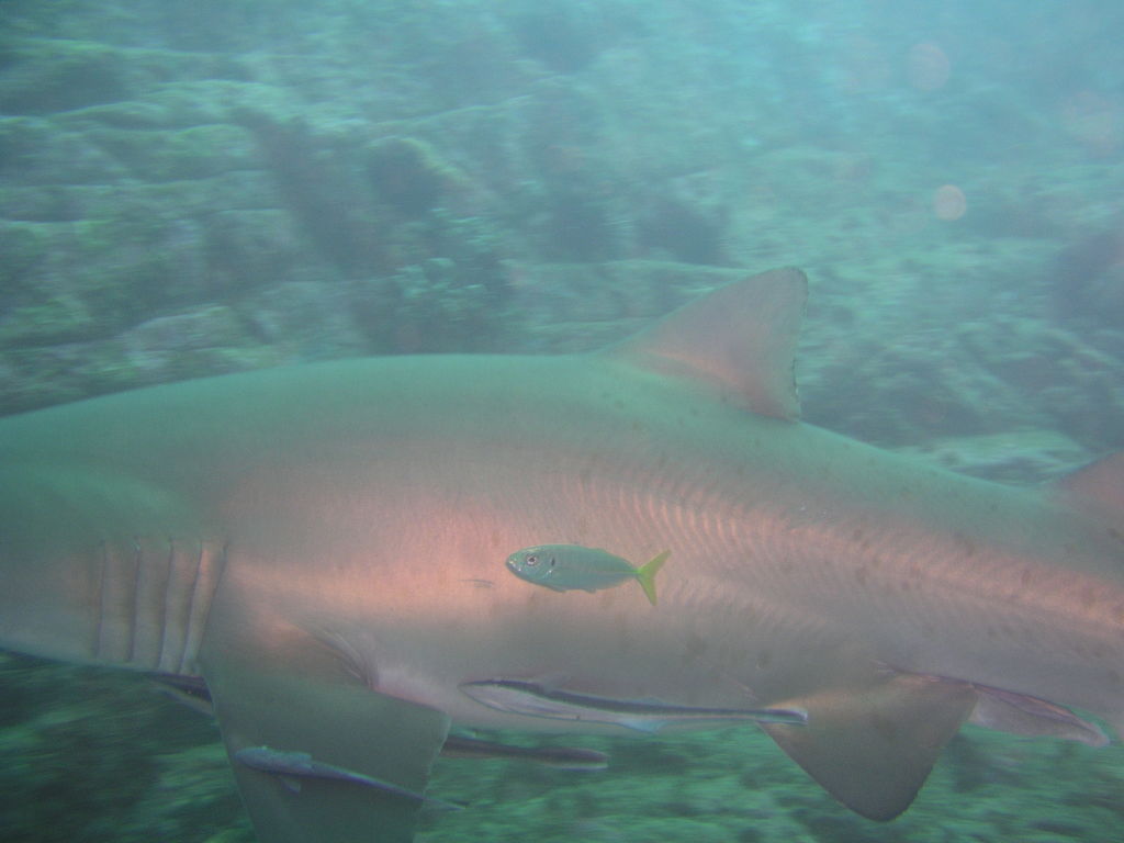 8fed8bbb-85f9-4e76-a84c-f83561036429