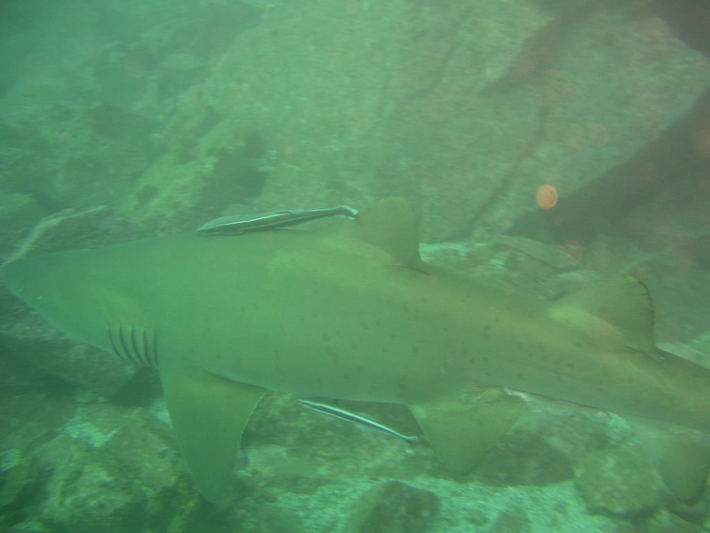 f2319ec4-323b-425c-b9be-83a866269a15