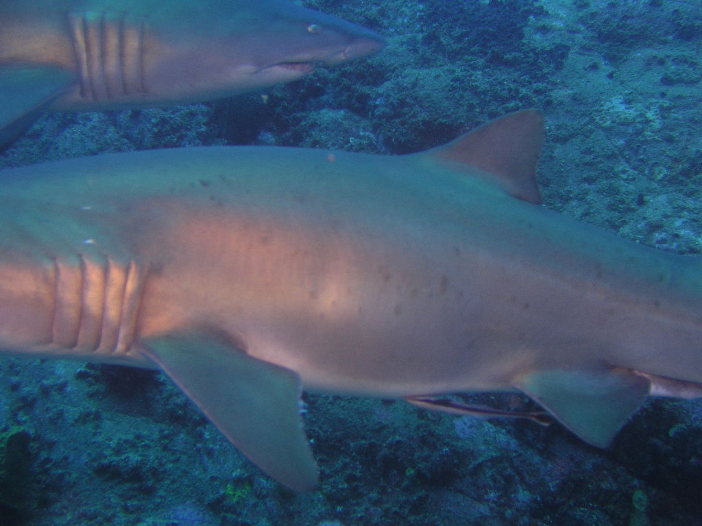 0680e0a1-6e8d-4880-8fb1-b53cf803b973