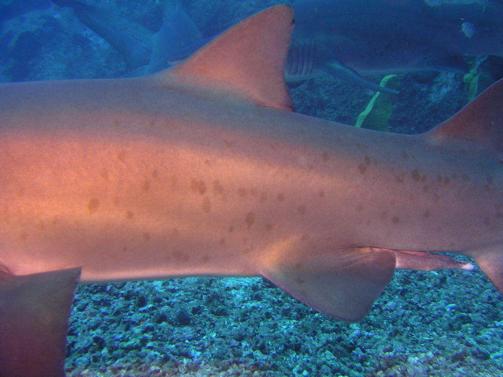 b753cf67-be87-4025-b9bf-4db317bbd706