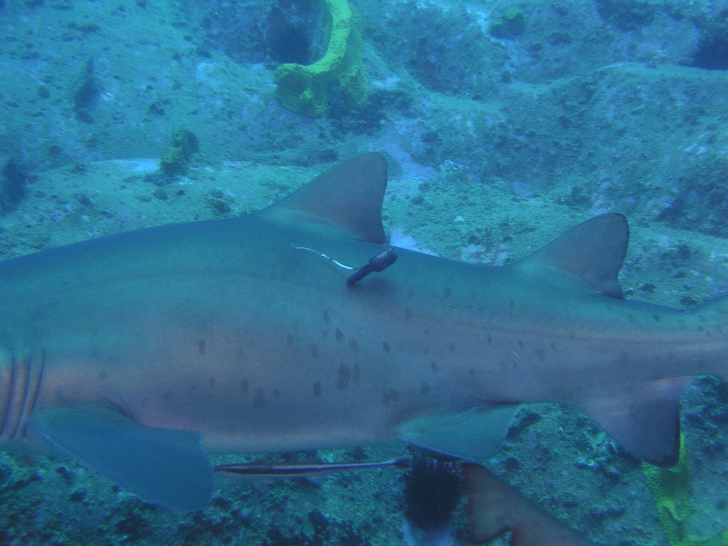 8bf1df1c-2c14-476d-9bac-c8cf08ad18f7