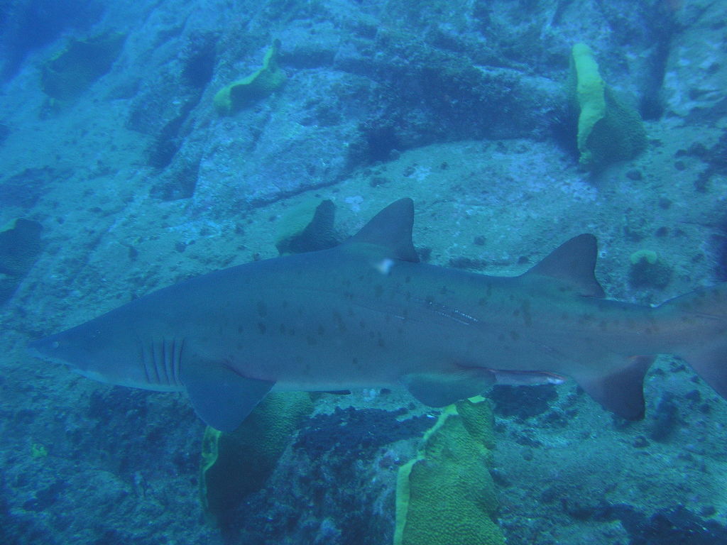 e05fb54e-4a7b-4960-8b2d-b14668b738a7