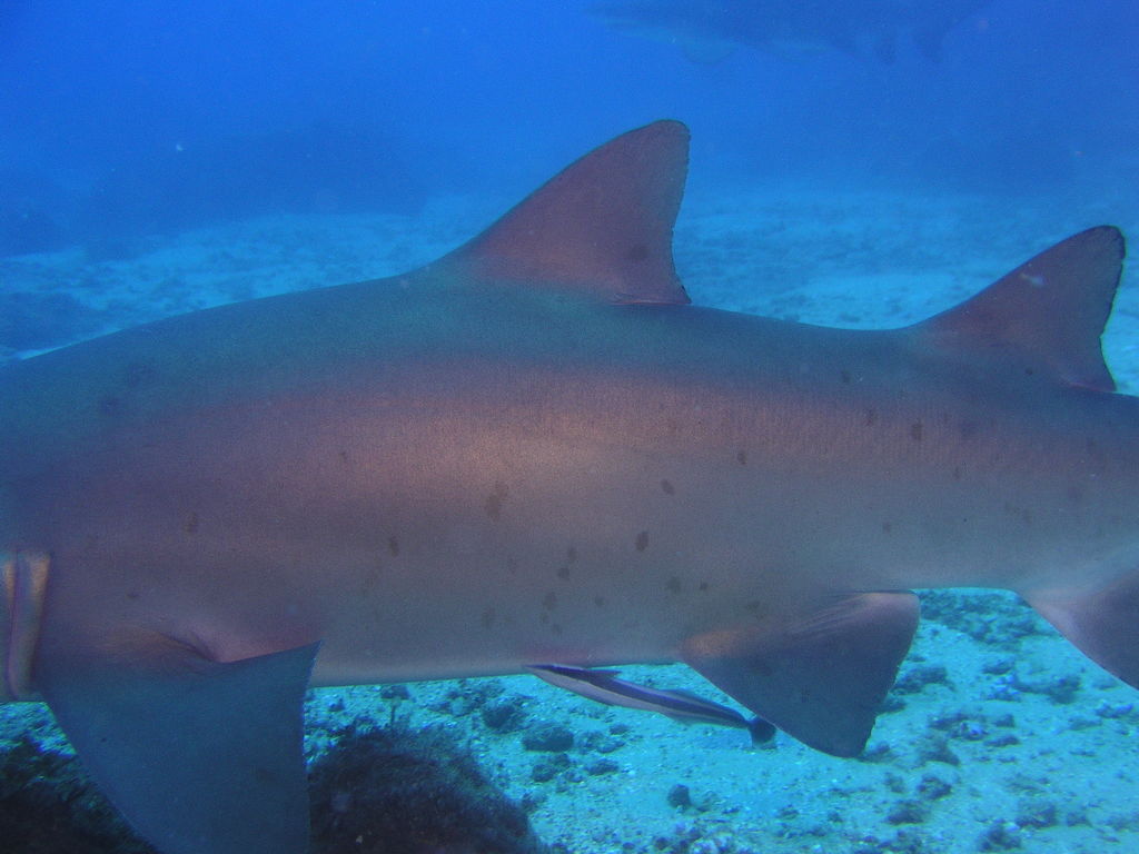 3fca4c9c-6223-4c21-8dce-86ae839329a8