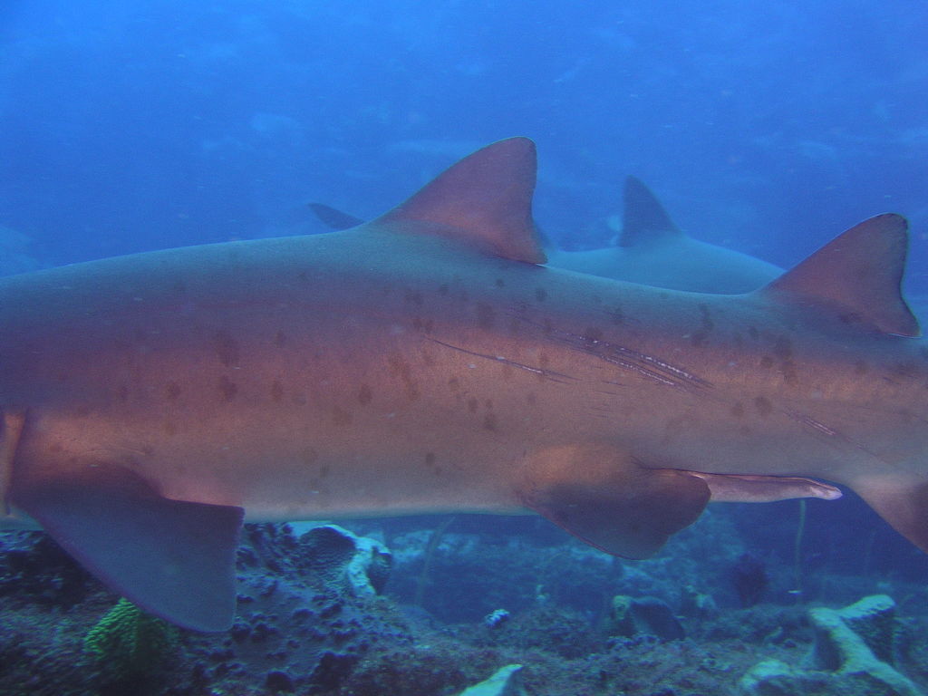 e05fb54e-4a7b-4960-8b2d-b14668b738a7