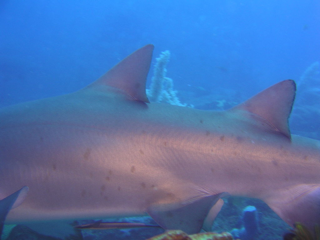 3fca4c9c-6223-4c21-8dce-86ae839329a8