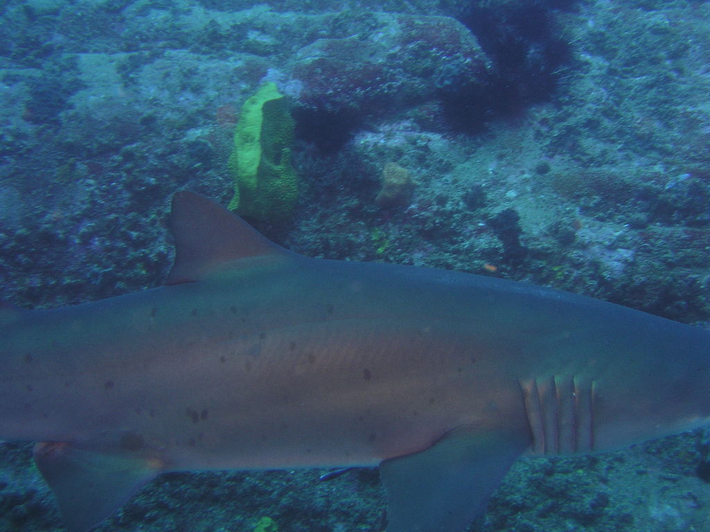 bbb66a80-e688-4262-bdfa-94292b8b0375