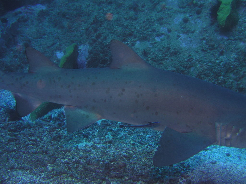 18d2efe5-90aa-4bfa-b377-5b050bba47da