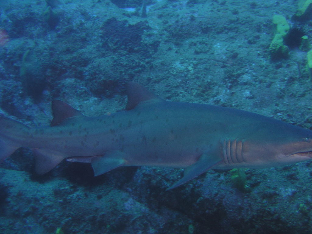 02a1e4f0-5688-4c0e-8ca3-11b87c87a53c