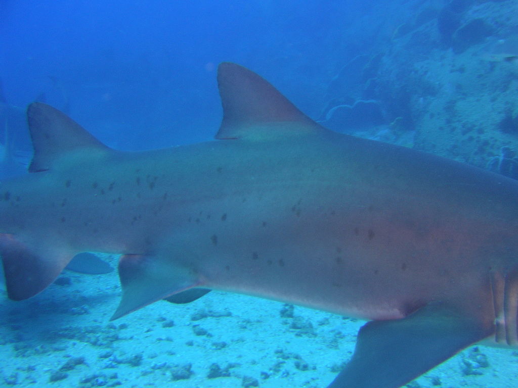 27713064-55b2-43d0-a240-1dc70c30a959