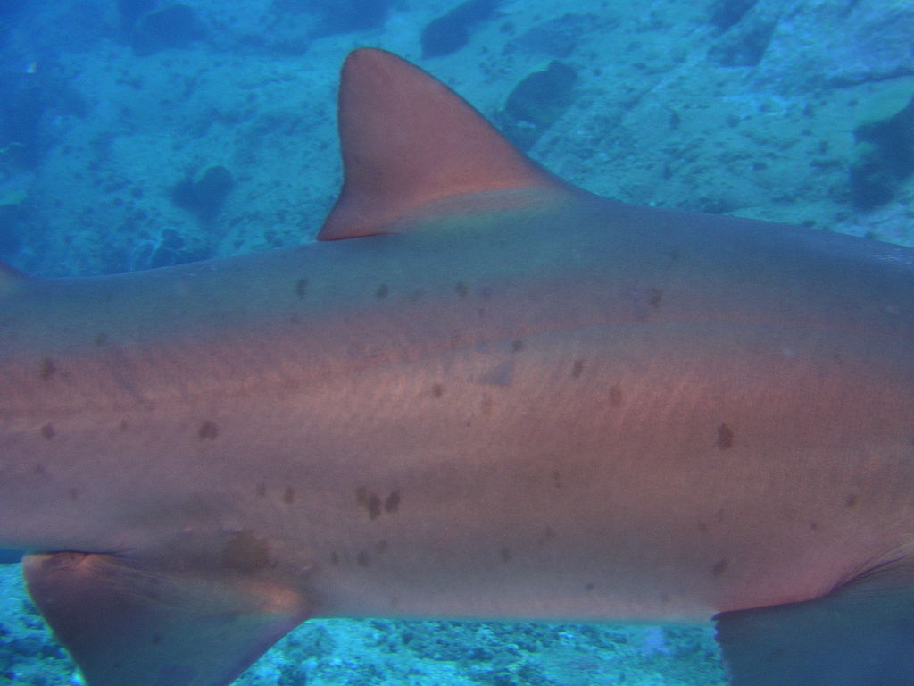 bbb66a80-e688-4262-bdfa-94292b8b0375