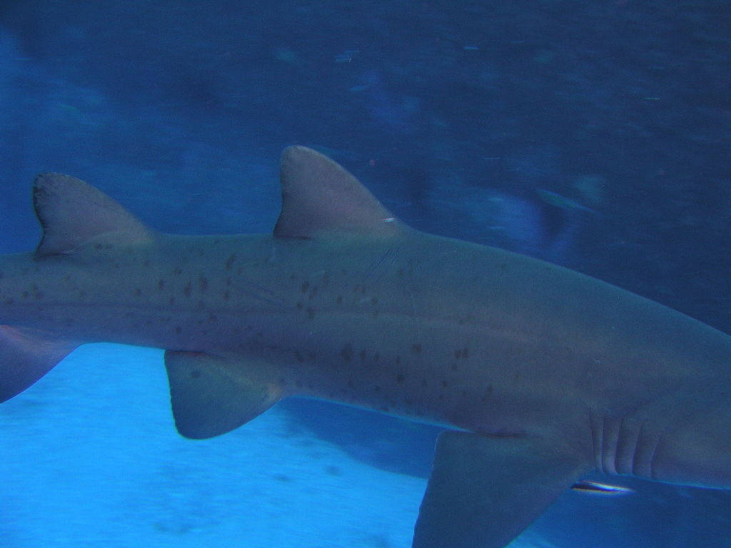 8db58cb3-0945-4dc1-a2a3-1cb3e06bf54d