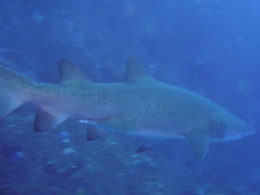 ff93057f-9d88-4769-a5f3-256c6078e453