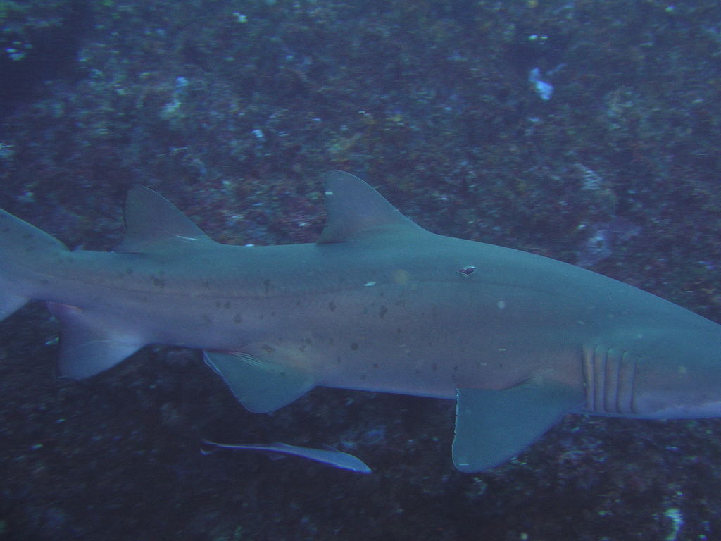 b26c4576-2aa9-4d19-915e-27951948e75f