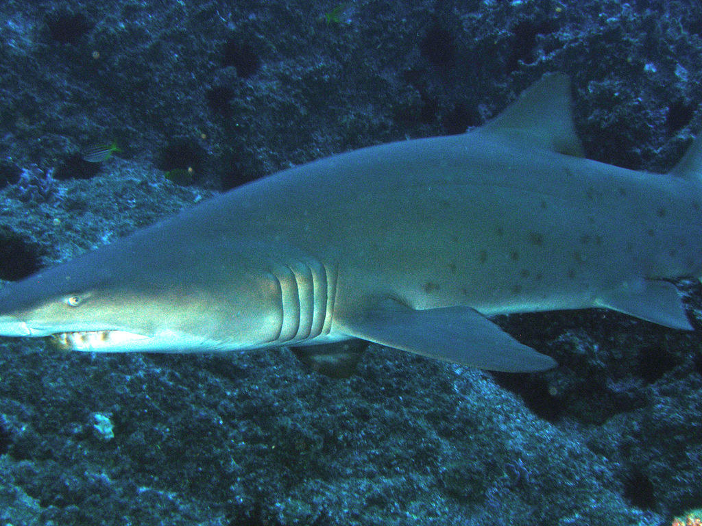 ec5ea22e-f42f-48a2-856f-639b2d30192a