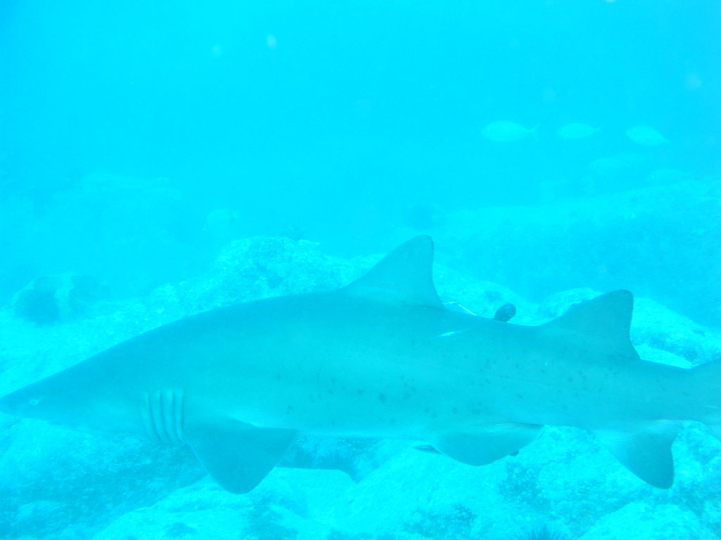 2c036a6a-05a8-4b32-896f-a41c1ac6ef8d