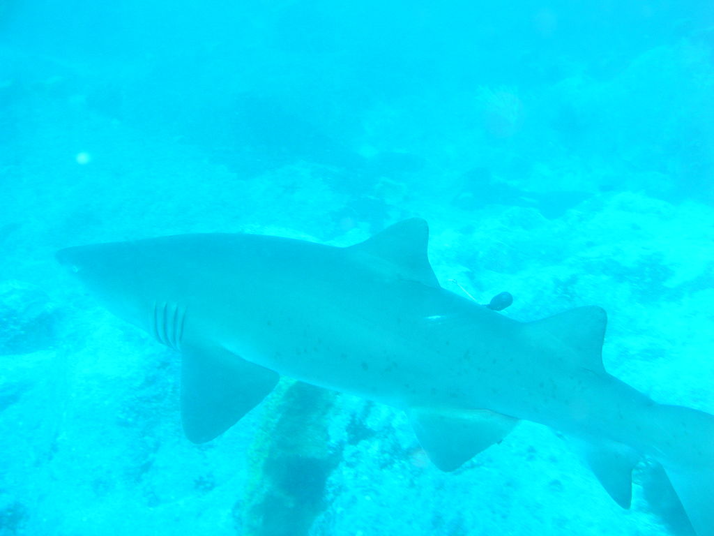 2c036a6a-05a8-4b32-896f-a41c1ac6ef8d