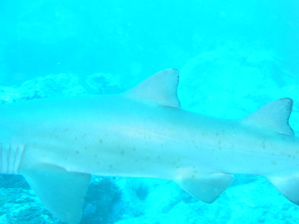 b0c25874-9b19-4ef7-a039-dd95e227fd4b