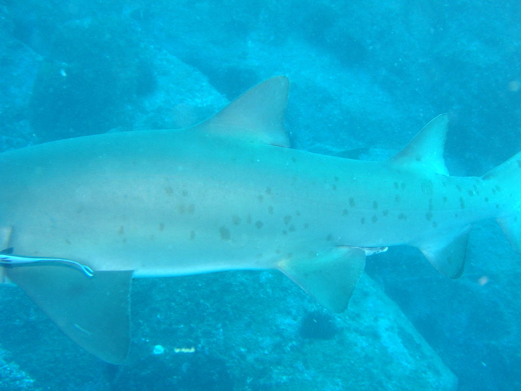 16cc3763-00d5-4467-8765-77752617c02a