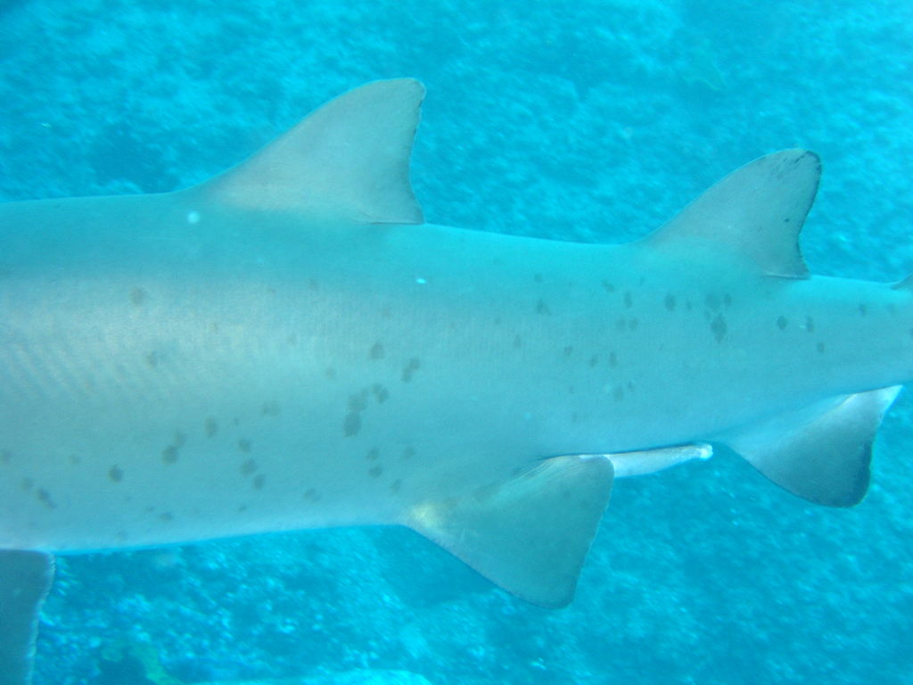 eec9070f-d036-4699-924d-64f4a3db3e95