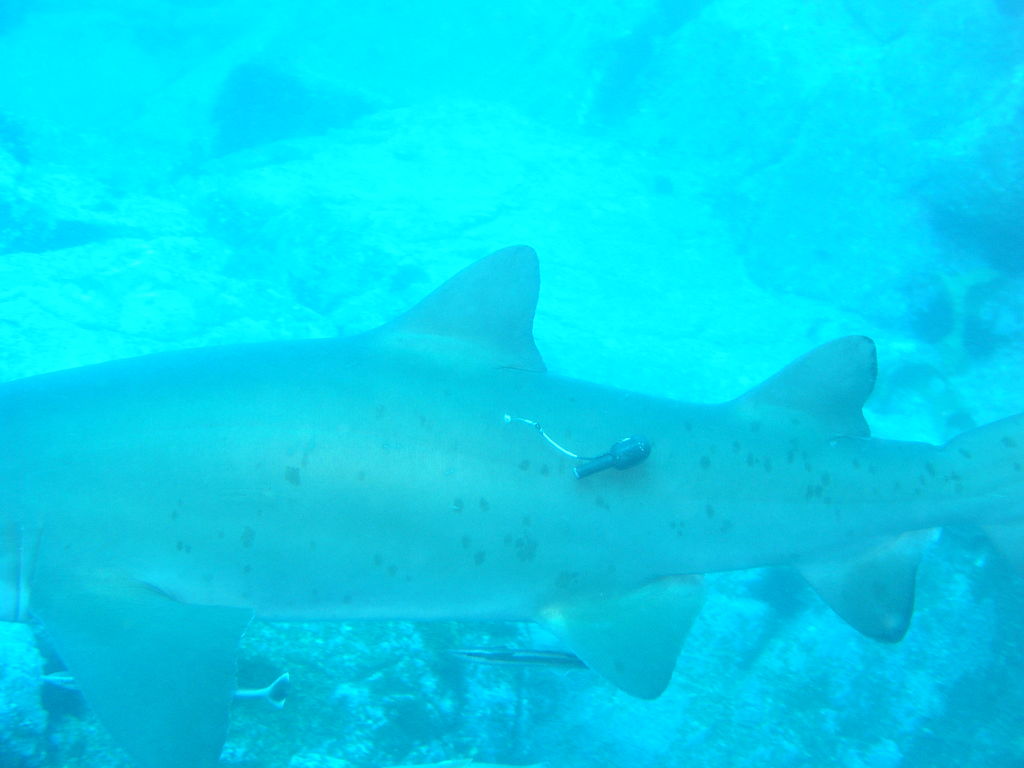 60662fdd-b071-4ec4-b585-8af0fac15576