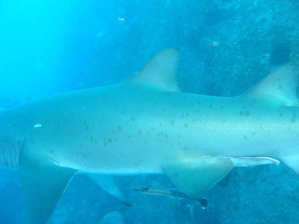 bc632402-73b6-4e36-8a86-b00c4c4c4960